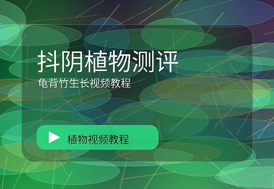 抖音绿秘