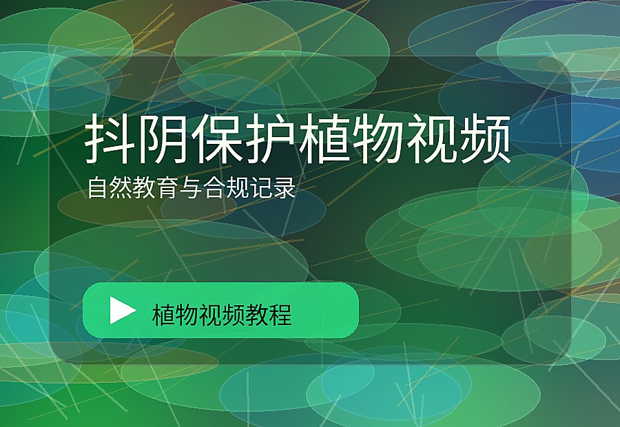 抖音绿秘